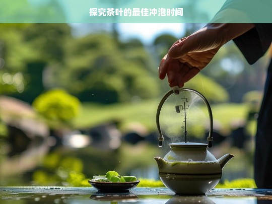 探究茶叶的最佳冲泡时间