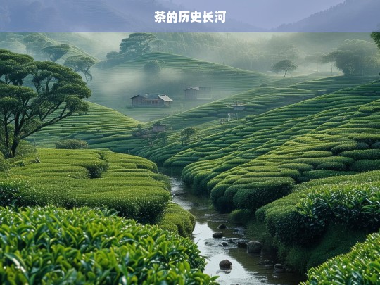 茶的历史长河