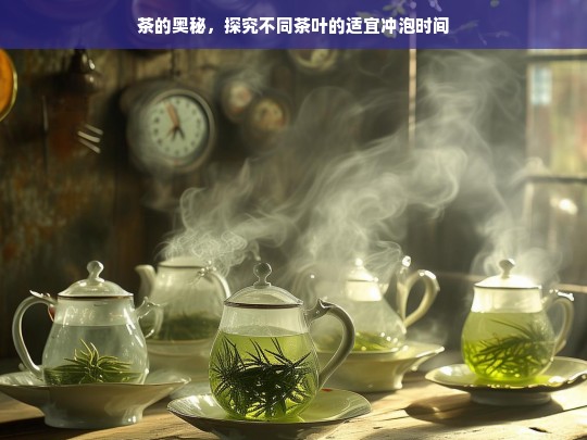 茶的奥秘，探究不同茶叶的适宜冲泡时间