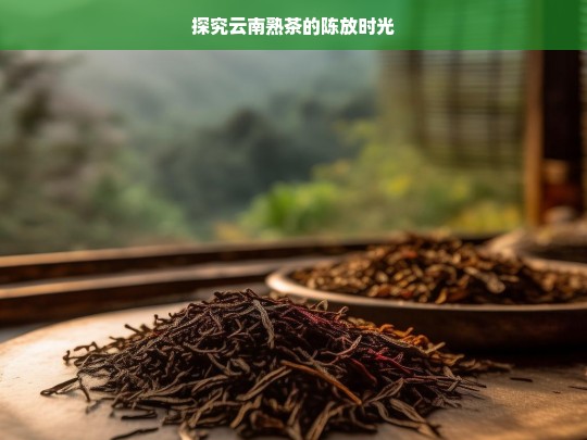 探究云南熟茶的陈放时光