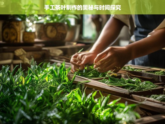 手工茶叶制作的奥秘与时间探究