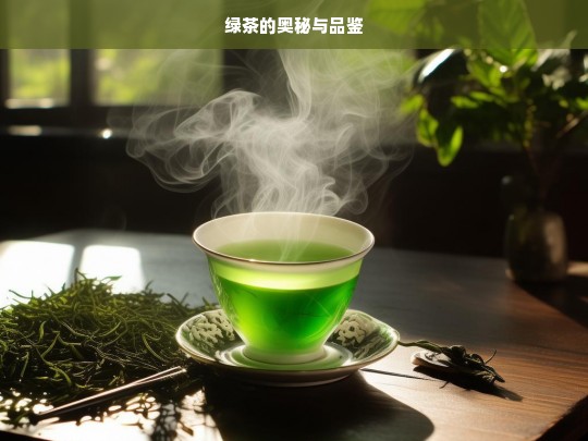 绿茶的奥秘与品鉴