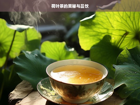 荷叶茶的奥秘与品饮