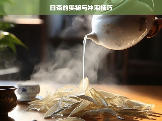 白茶的奥秘与冲泡技巧