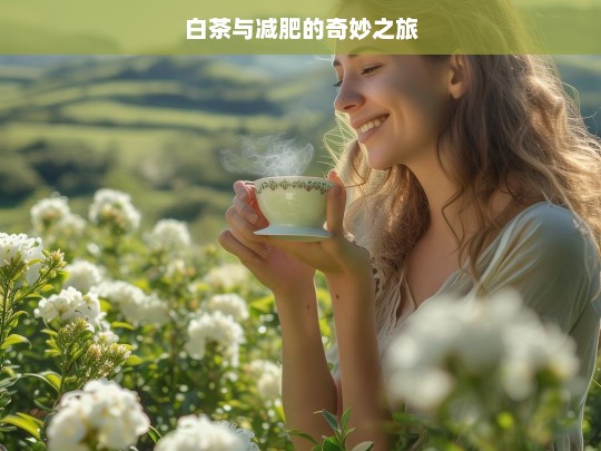 白茶与减肥的奇妙之旅