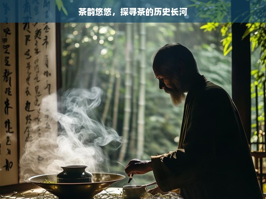 茶韵悠悠，探寻茶的历史长河