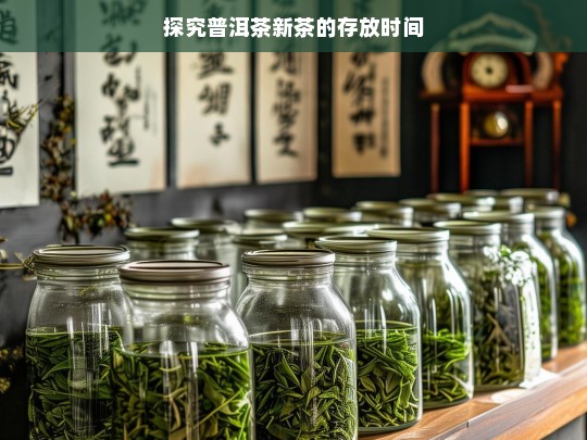 探究普洱茶新茶的存放时间