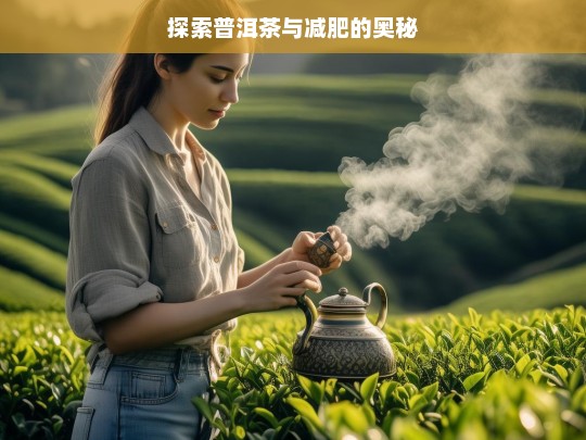 探索普洱茶与减肥的奥秘