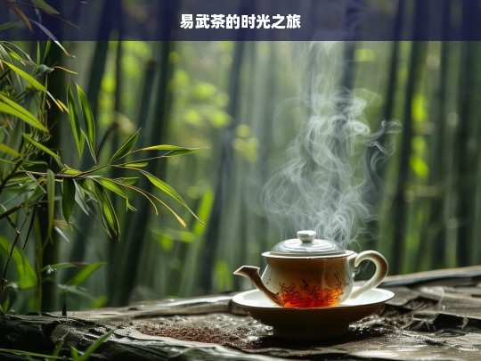 易武茶的时光之旅