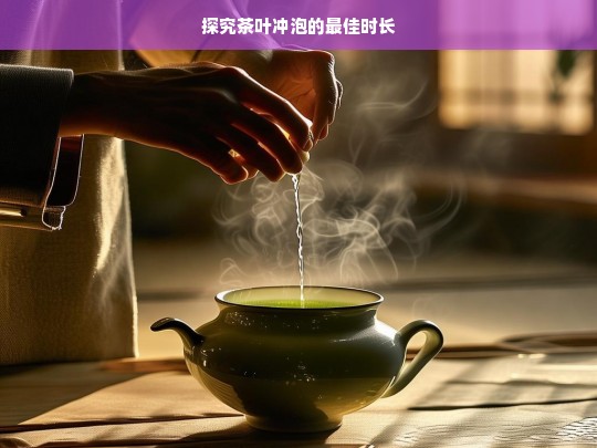 探究茶叶冲泡的最佳时长