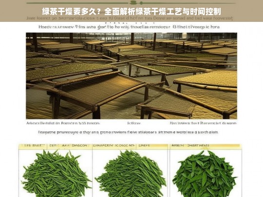 绿茶干燥要多久？全面解析绿茶干燥工艺与时间控制