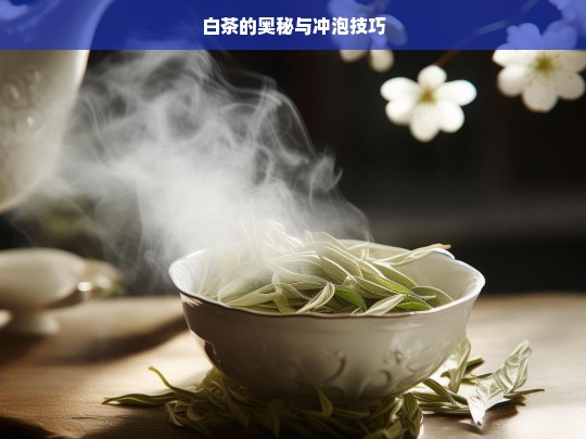 白茶的奥秘与冲泡技巧