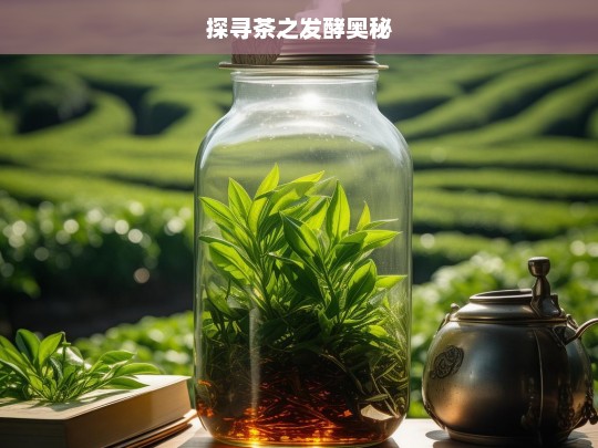 探寻茶之发酵奥秘