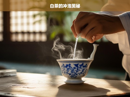 白茶的冲泡奥秘