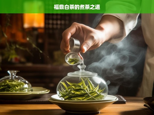 福鼎白茶的煮茶之道