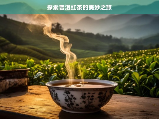 探索普洱红茶的美妙之旅