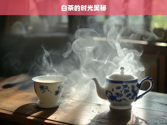 白茶的时光奥秘