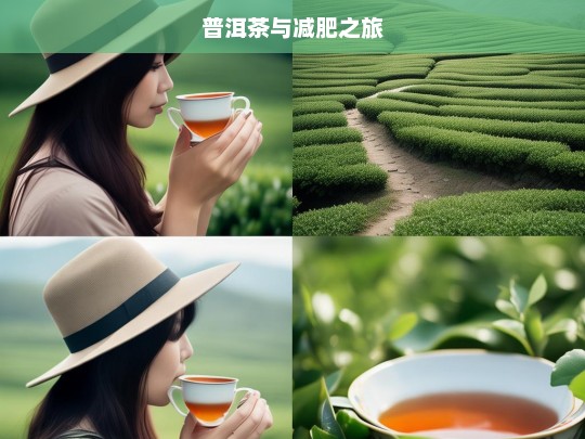 普洱茶与减肥之旅