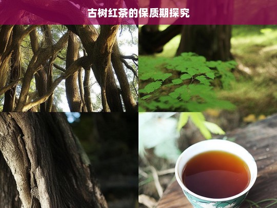 古树红茶的保质期探究