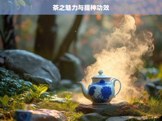 茶之魅力与提神功效