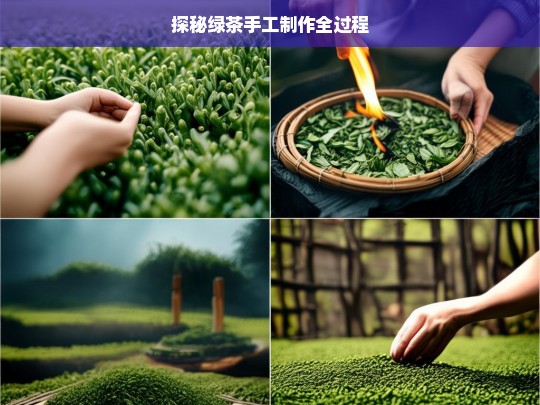 探秘绿茶手工制作全过程