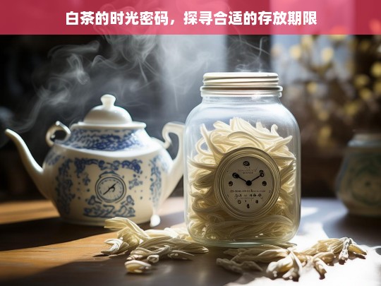 白茶的时光密码，探寻合适的存放期限