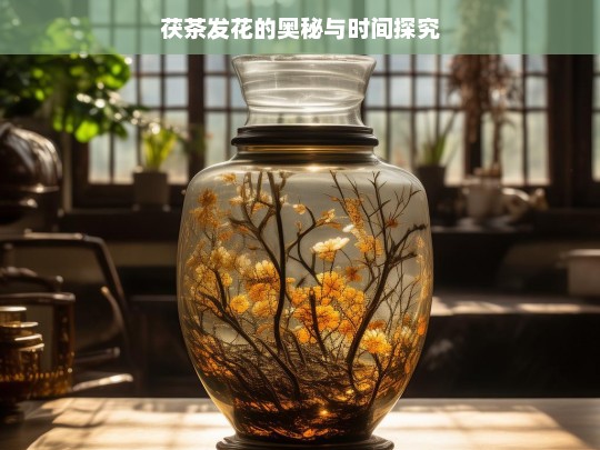 茯茶发花的奥秘与时间探究