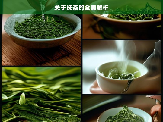 关于洗茶的全面解析