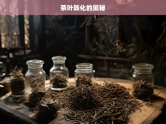 茶叶陈化的奥秘