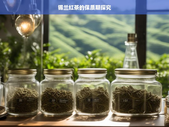 锡兰红茶的保质期探究