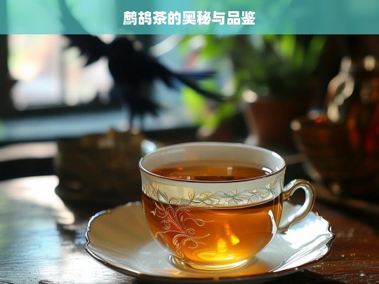 鹧鸪茶的奥秘与品鉴