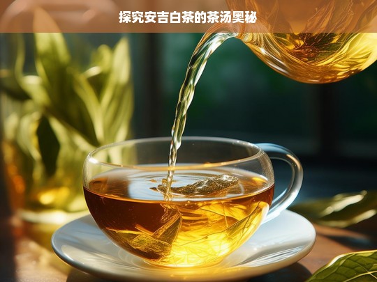 探究安吉白茶的茶汤奥秘