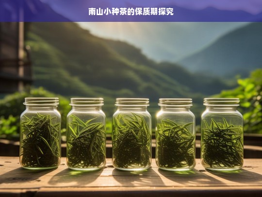 南山小种茶的保质期探究