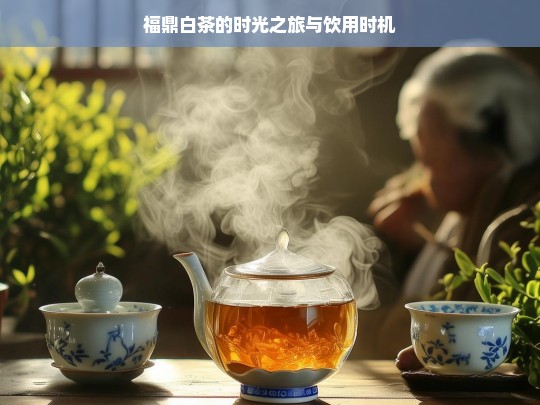 福鼎白茶的时光之旅与饮用时机