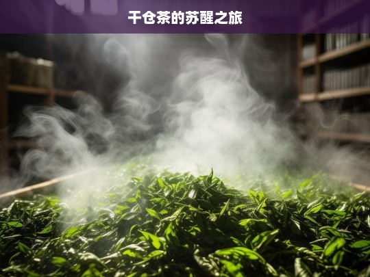 干仓茶的苏醒之旅