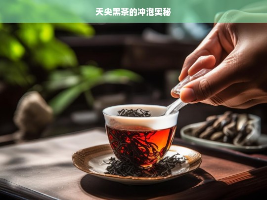 天尖黑茶的冲泡奥秘