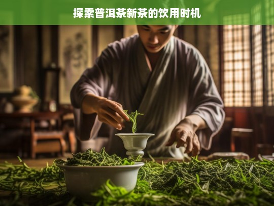 探索普洱茶新茶的饮用时机