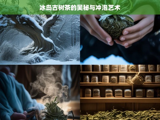 冰岛古树茶的奥秘与冲泡艺术